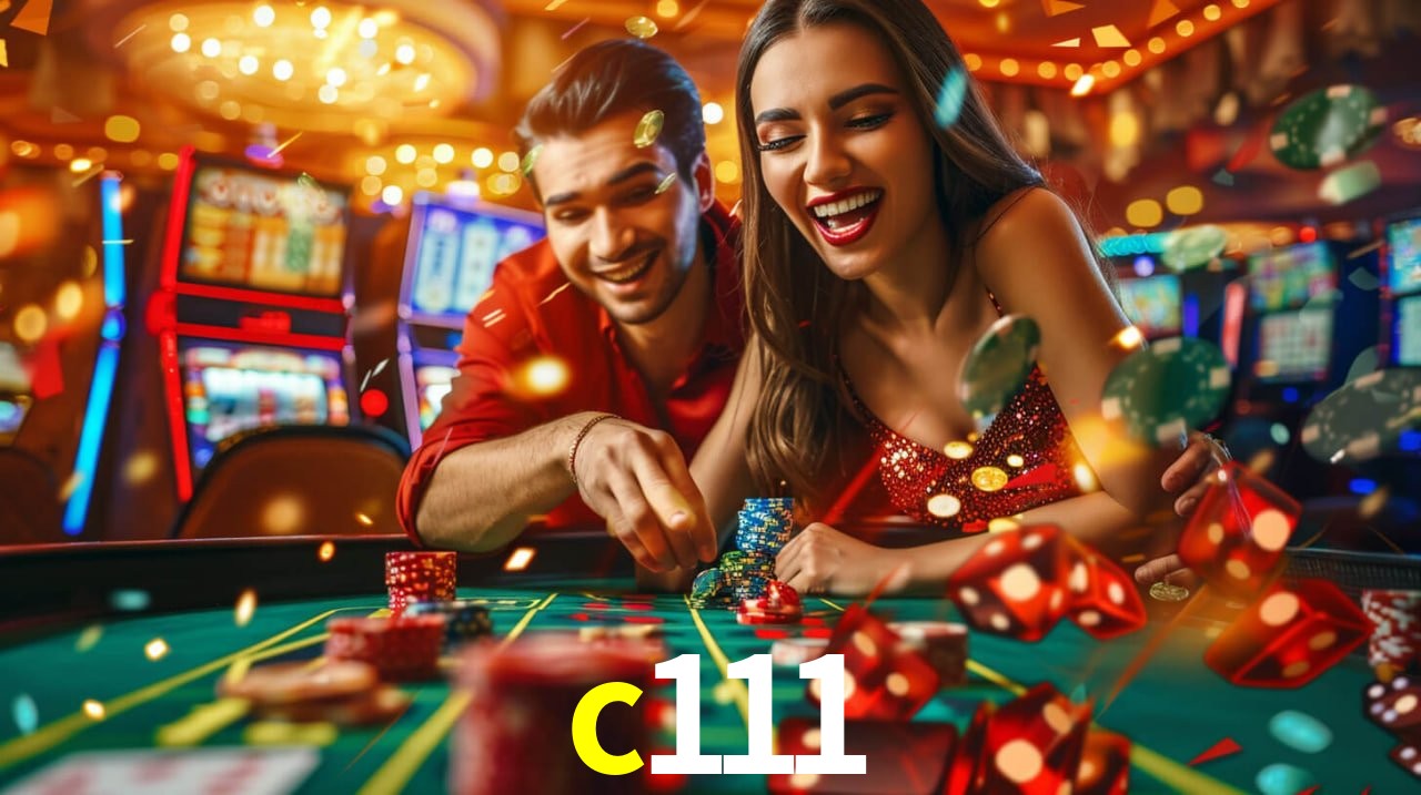 c111 - Customer Support